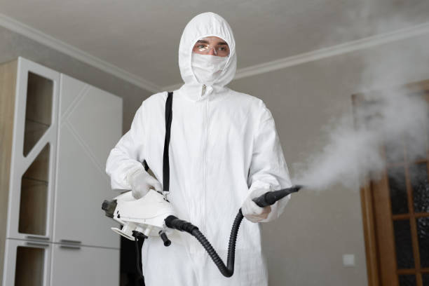 Why You Should Choose Our Mold Remediation Services in Waukomis, OK